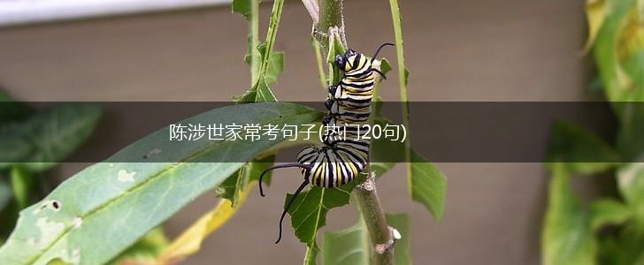 陈涉世家常考句子(热门20句),第1张