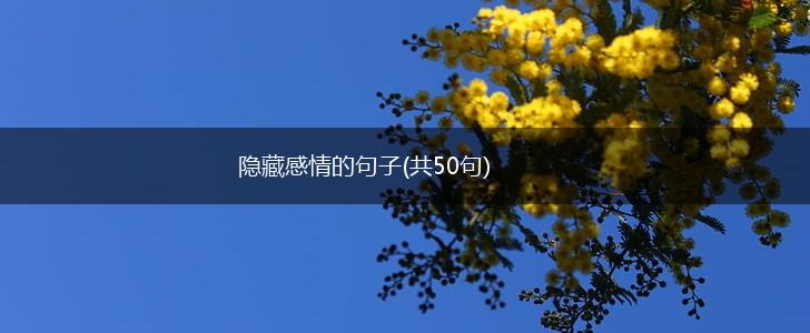 隐藏感情的句子(共50句),第1张