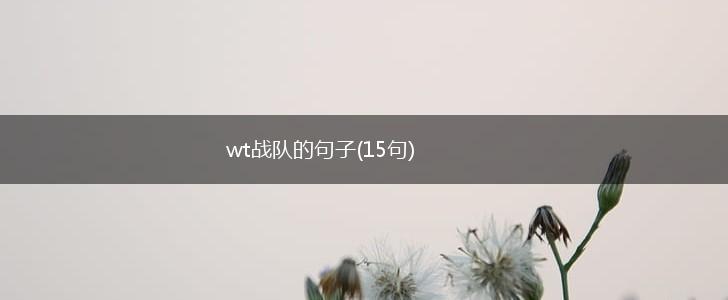 wt战队的句子(15句),第1张