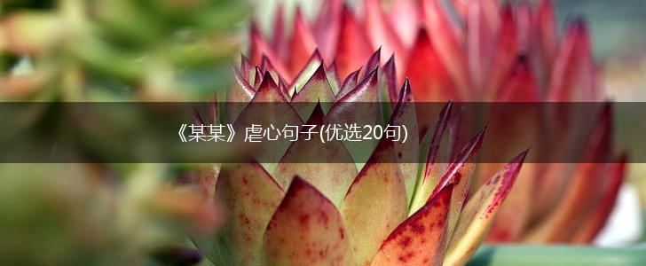 《某某》虐心句子(优选20句),第1张