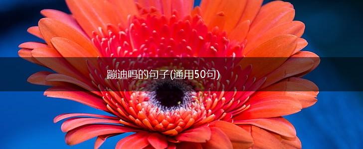 蹦迪吗的句子(通用50句),第1张