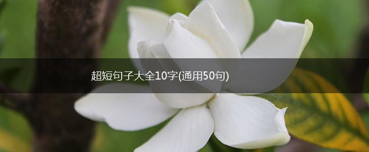 超短句子大全10字(通用50句),第1张 超短句子大全10字(通用50句),第1张