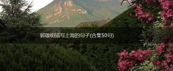 郭敬明描写上海的句子(合集50句),第1张