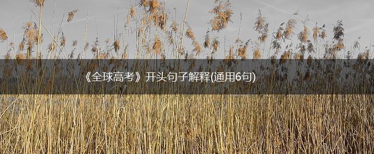 《全球高考》开头句子解释(通用6句),第1张