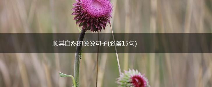 顺其自然的说说句子(必备15句),第1张