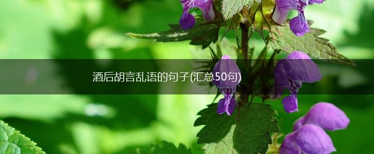 酒后胡言乱语的句子(汇总50句),第1张