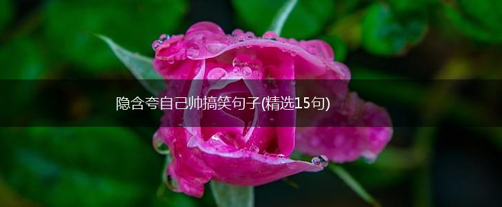 隐含夸自己帅搞笑句子(精选15句),第1张