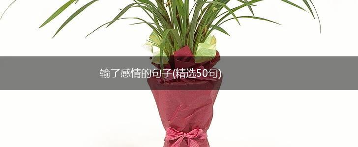 输了感情的句子(精选50句),第1张