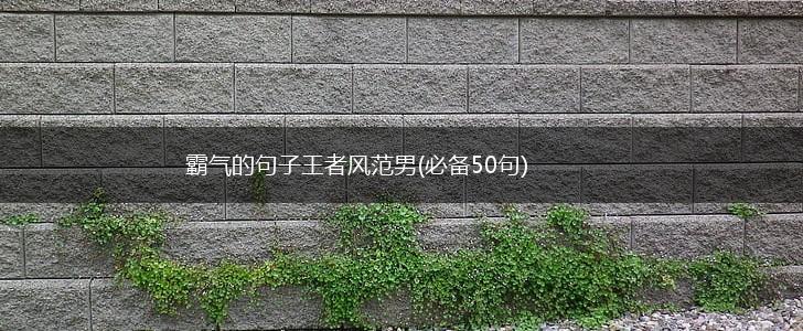霸气的句子王者风范男(必备50句),第1张
