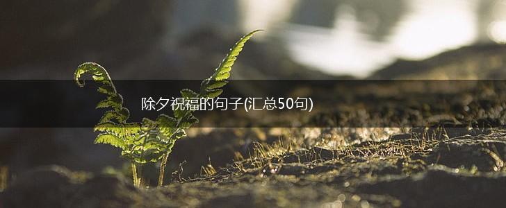 除夕祝福的句子(汇总50句),第1张