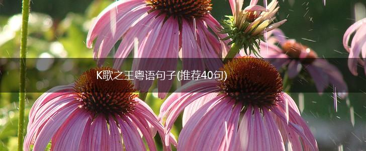 K歌之王粤语句子(推荐40句),第1张