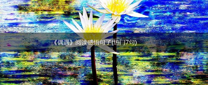 《偶遇》阅读感悟句子(热门7句),第1张