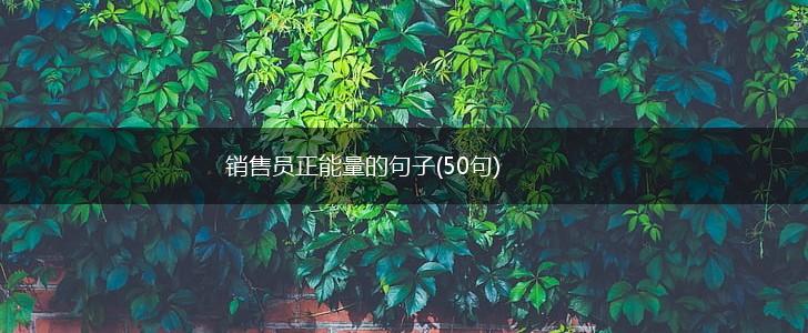 销售员正能量的句子(50句),第1张