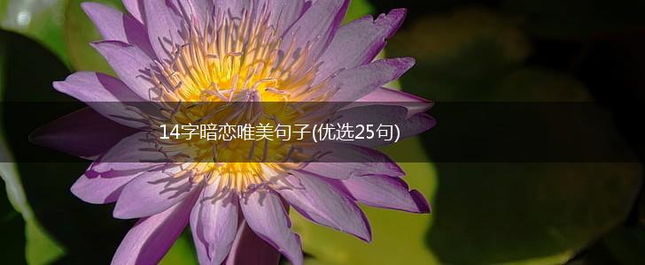 14字暗恋唯美句子(优选25句),第1张