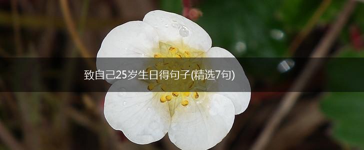 致自己25岁生日得句子(精选7句),第1张