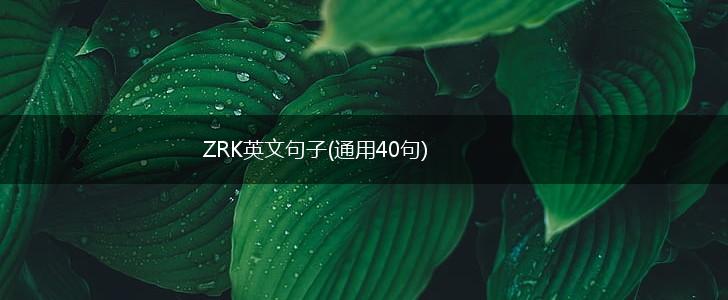 ZRK英文句子(通用40句),第1张