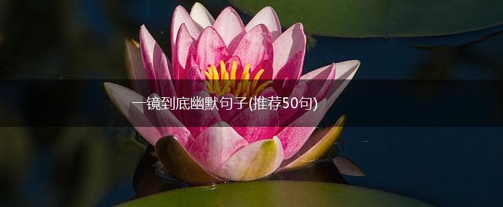 一镜到底幽默句子(推荐50句),第1张