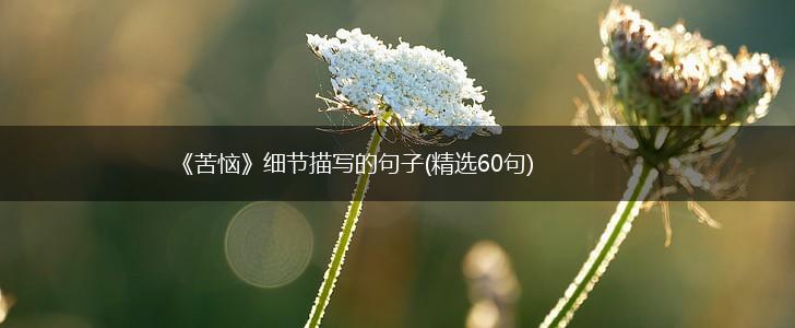 《苦恼》细节描写的句子(精选60句),第1张
