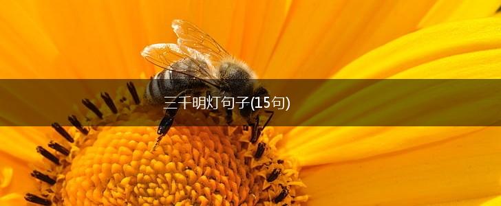 三千明灯句子(15句),第1张