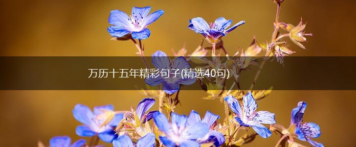 万历十五年精彩句子(精选40句),第1张 万历十五年精彩句子(精选40句),第1张