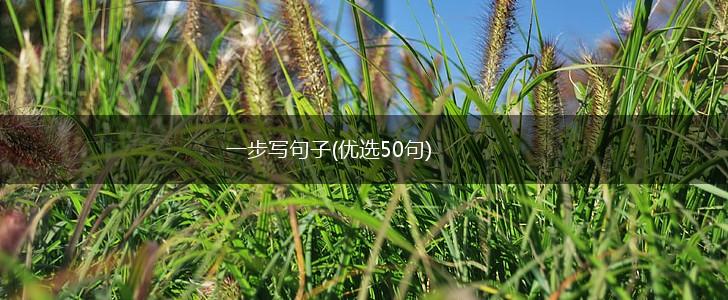 一步写句子(优选50句),第1张