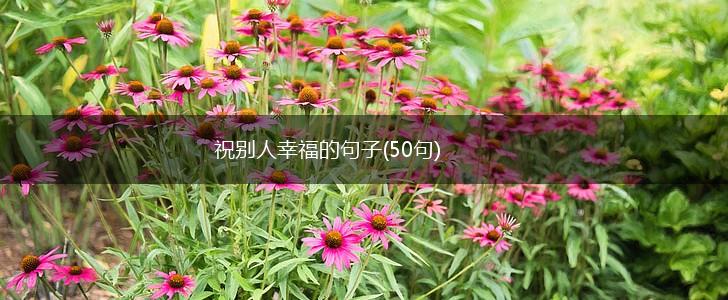 祝别人幸福的句子(50句),第1张