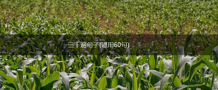 三千遍句子(通用60句),第1张
