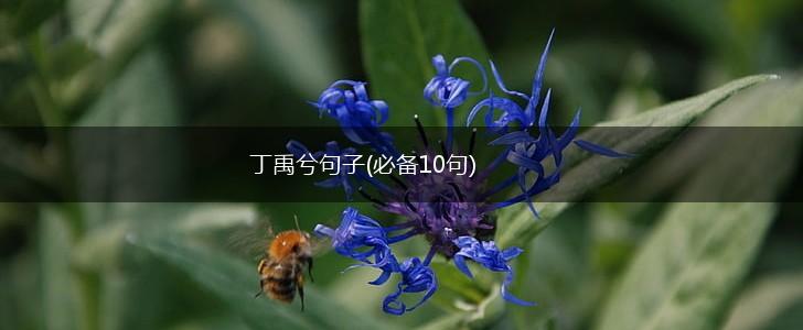 丁禹兮句子(必备10句),第1张