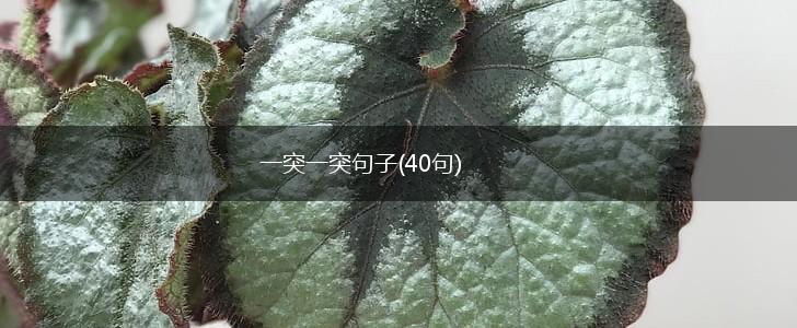 一突一突句子(40句),第1张