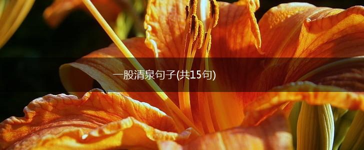 一股清泉句子(共15句),第1张