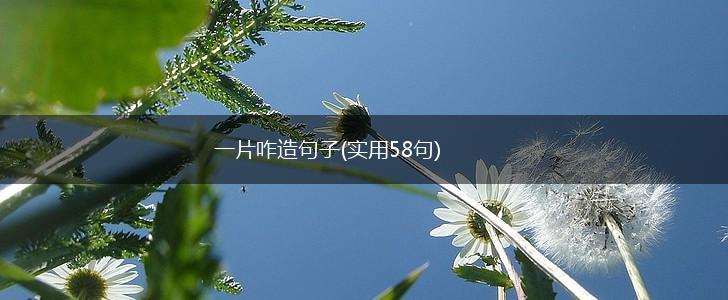 一片咋造句子(实用58句),第1张