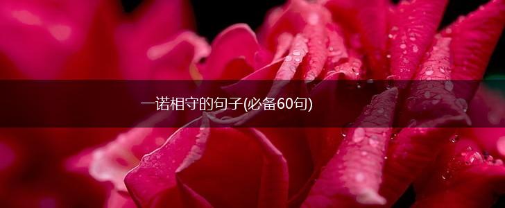 一诺相守的句子(必备60句),第1张