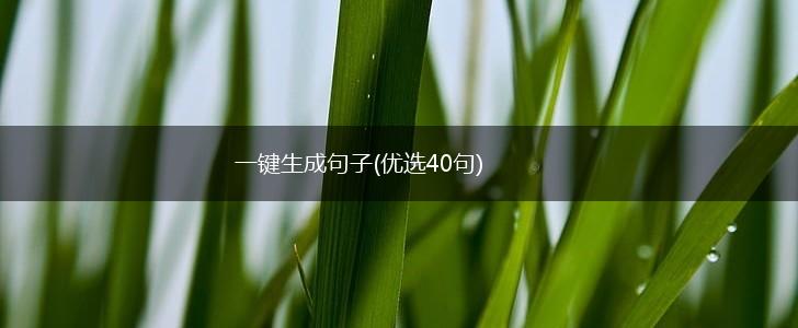 一键生成句子(优选40句),第1张