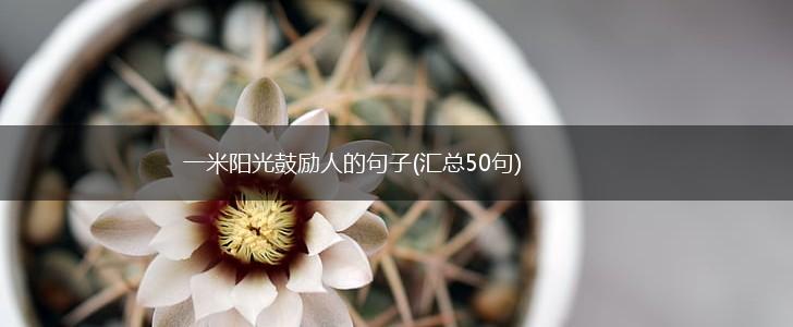 一米阳光鼓励人的句子(汇总50句),第1张