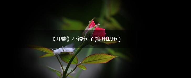 《开端》小说句子(实用19句),第1张