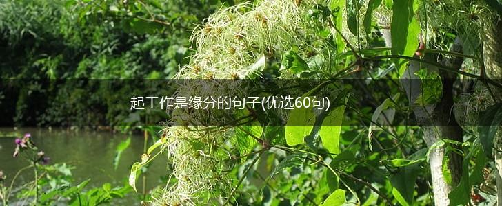 一起工作是缘分的句子(优选60句),第1张 一起工作是缘分的句子(优选60句),第1张