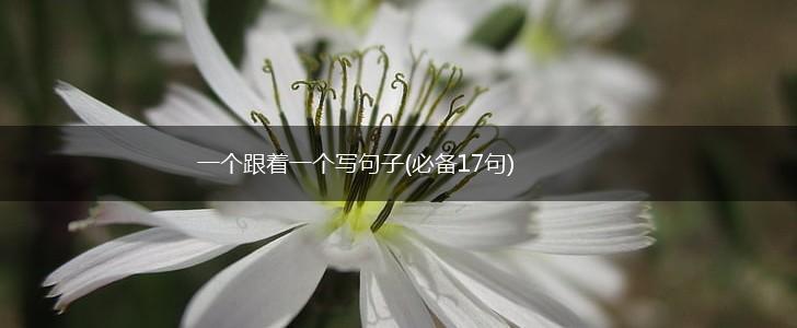 一个跟着一个写句子(必备17句),第1张