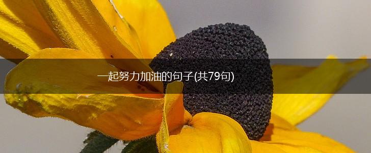 一起努力加油的句子(共79句),第1张