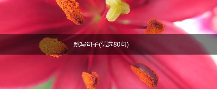 一跳写句子(优选80句),第1张