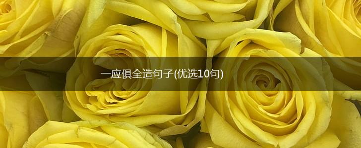 一应俱全造句子(优选10句),第1张
