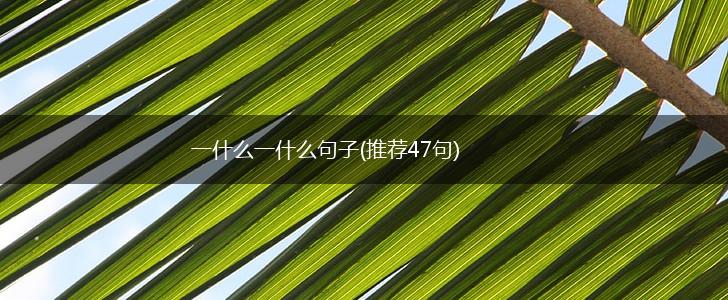 一什么一什么句子(推荐47句),第1张
