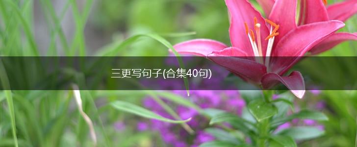 三更写句子(合集40句),第1张 三更写句子(合集40句),第1张