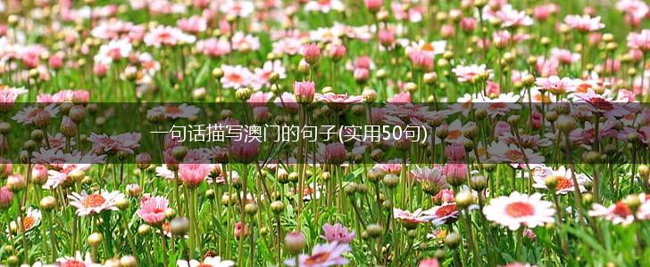 一句话描写澳门的句子(实用50句),第1张