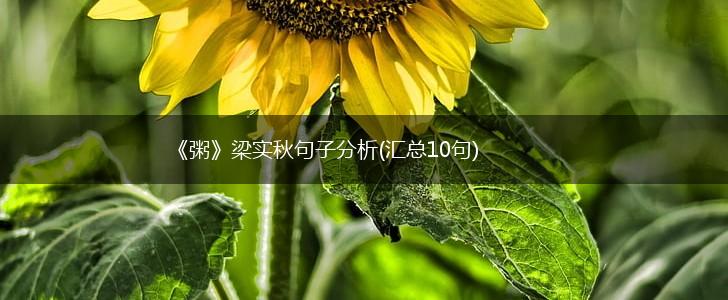 《粥》梁实秋句子分析(汇总10句),第1张