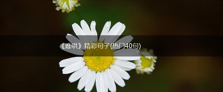 《难哄》精彩句子(热门40句),第1张