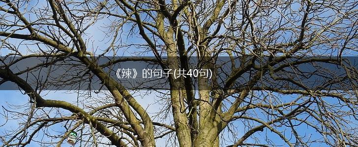 《辣》的句子(共40句),第1张