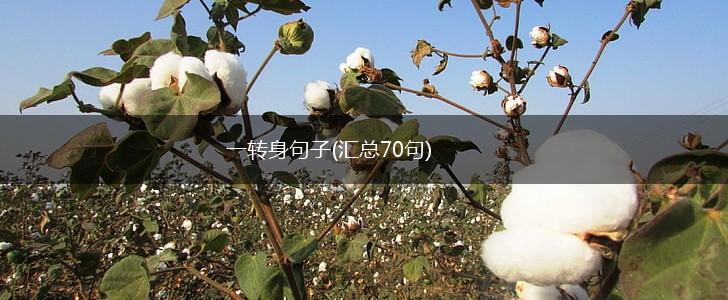 一转身句子(汇总70句),第1张
