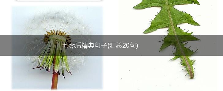 七零后精典句子(汇总20句),第1张