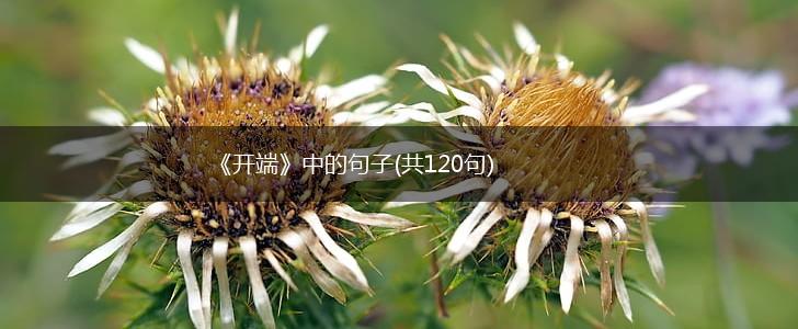 《开端》中的句子(共120句),第1张