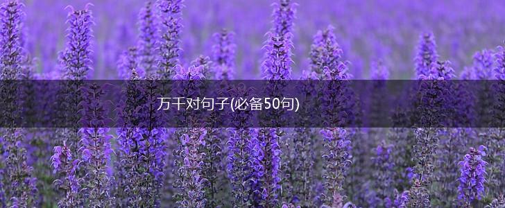 万千对句子(必备50句),第1张